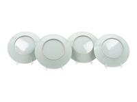Four Chinese Export Style Famille Rose Porcelain Plates