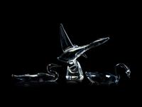 A Group of Five Steuben Glass Figures of Birds