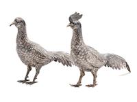 A Pair of Spanish Silver Pheasants