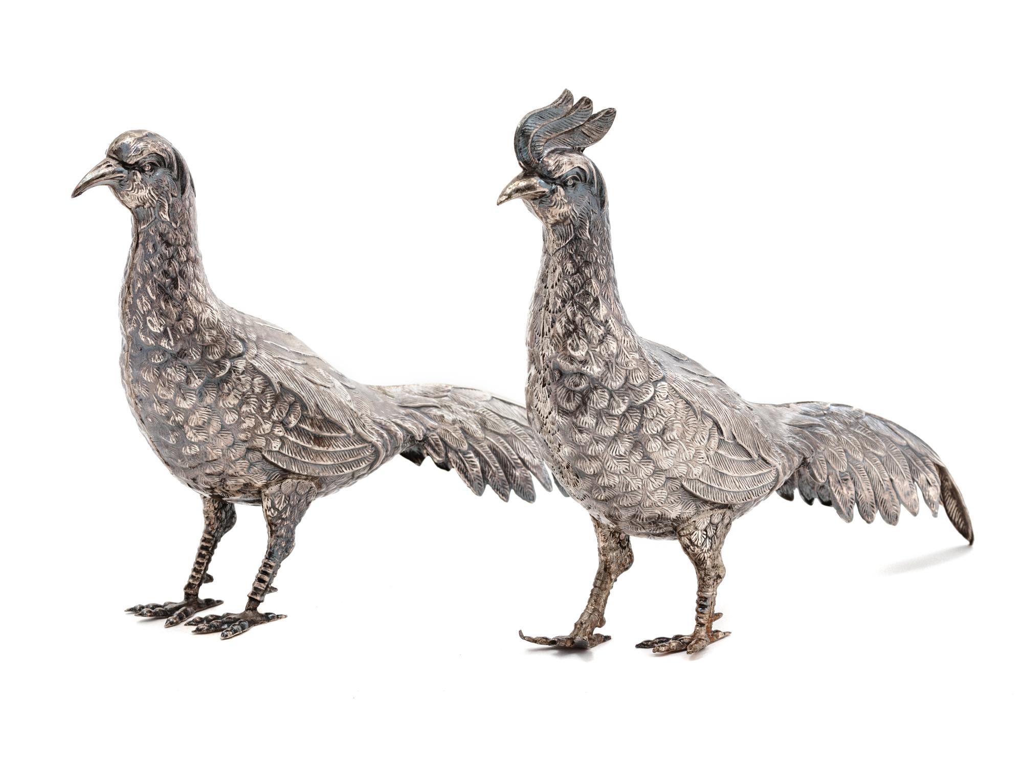 A Pair of Spanish Silver Pheasants