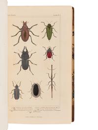 CUVIER, Georges L.C. Baron (1769-1832). The Animal Kingdom. London: G. Henderson, 1834, 1837.
