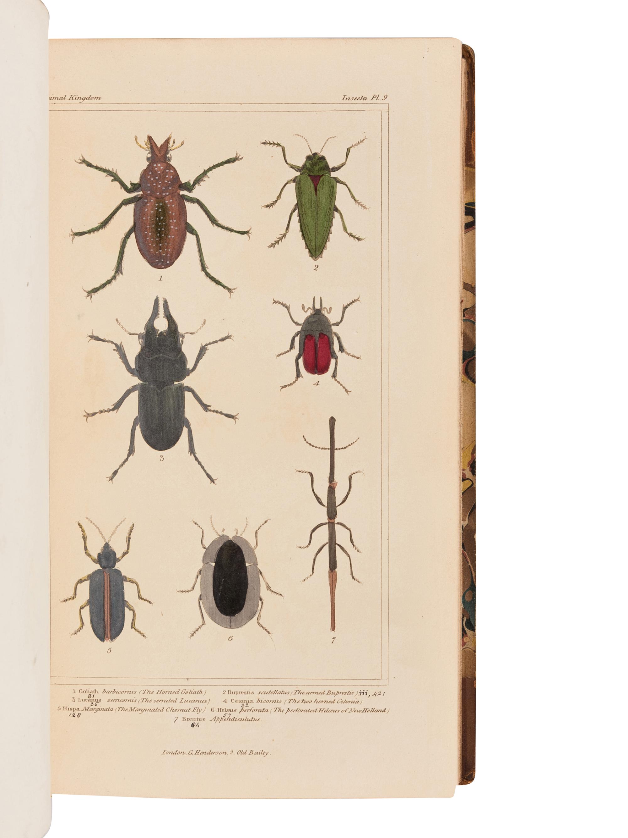 CUVIER, Georges L.C. Baron (1769-1832). The Animal Kingdom. London: G. Henderson, 1834, 1837.