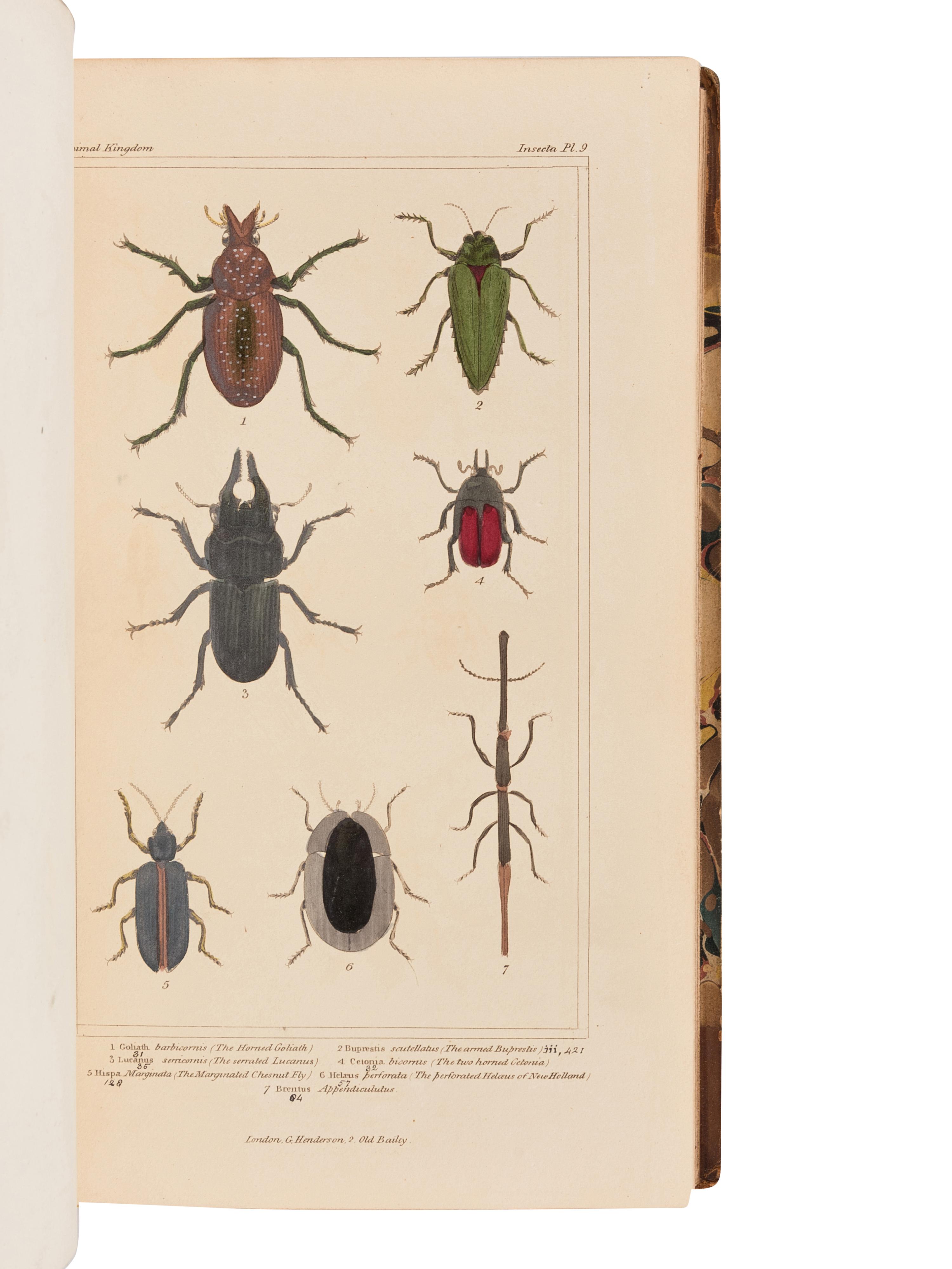 CUVIER, Georges L.C. Baron (1769-1832). The Animal Kingdom. London: G. Henderson, 1834, 1837.