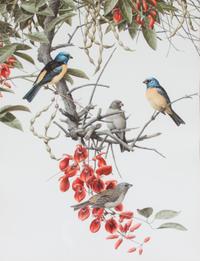 Axel Amuchastegui, (Argentinean, 1921-2002), Blue and Yellow Tanager