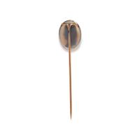 A Neoclassical Agate Cameo and Silver Stickpin with a Roman Emperor