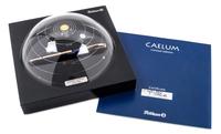 A Pelikan Caelum Limited Edition Fountain Pen