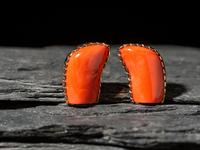 14K Gold and Coral Clip Earrings