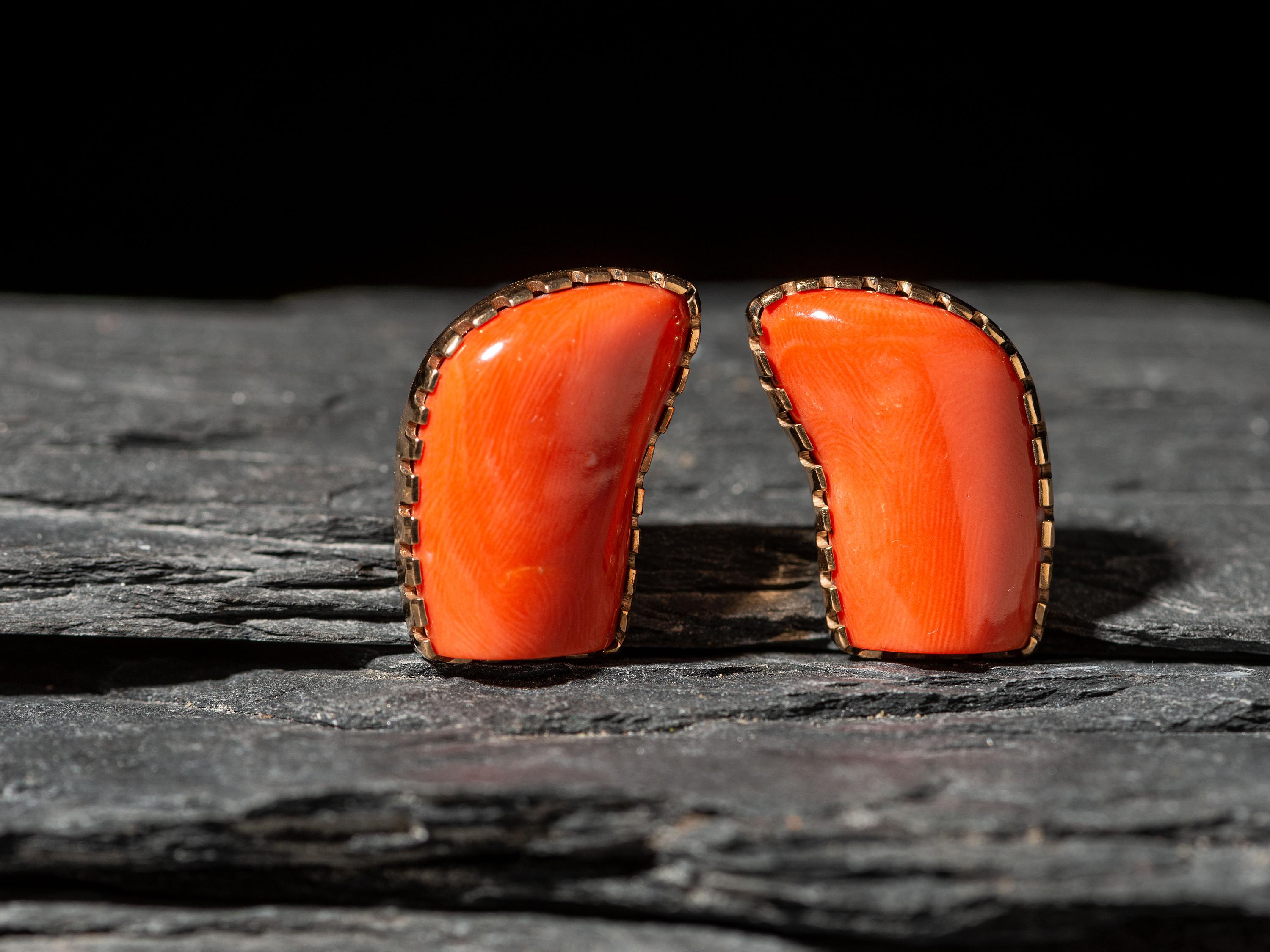 14K Gold and Coral Clip Earrings