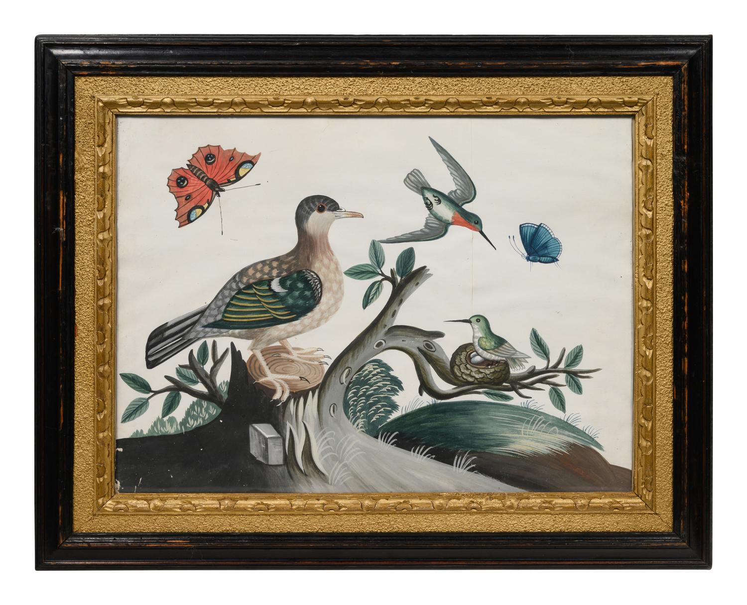 A Set of Six Irish George III Embossed Bird Pictures by Samuel Dixon