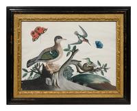A Set of Six Irish George III Embossed Bird Pictures by Samuel Dixon