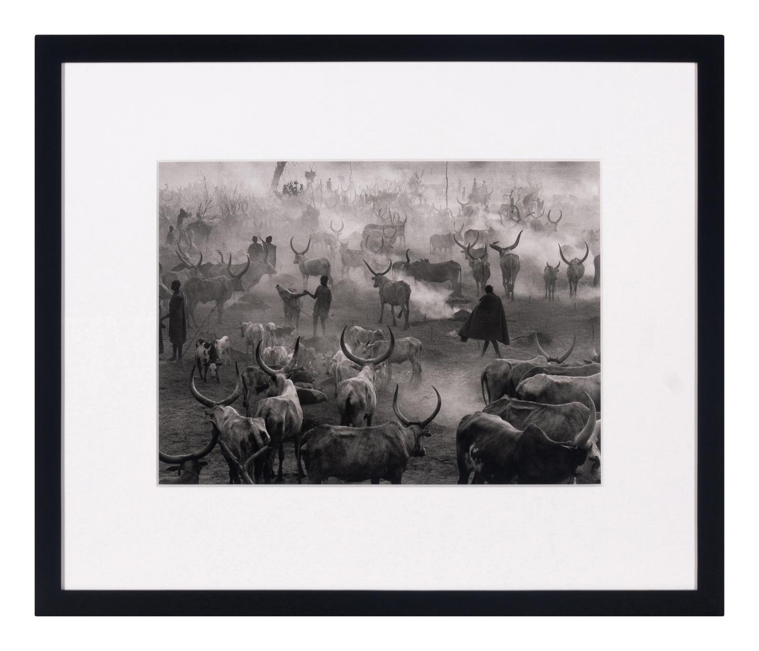 Dinka Cattle Camp of Amak, Southern Sudan, 2006