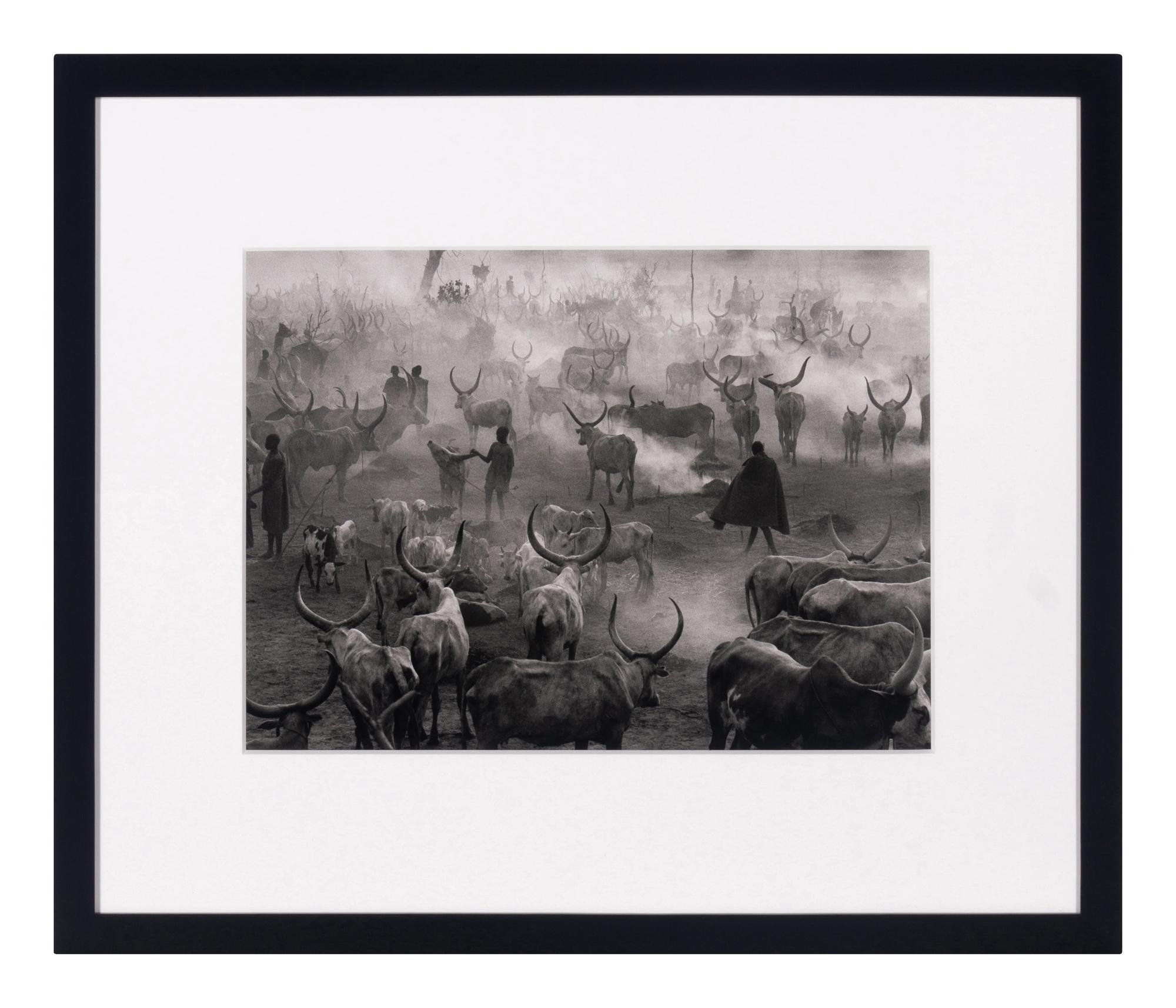 Dinka Cattle Camp of Amak, Southern Sudan, 2006