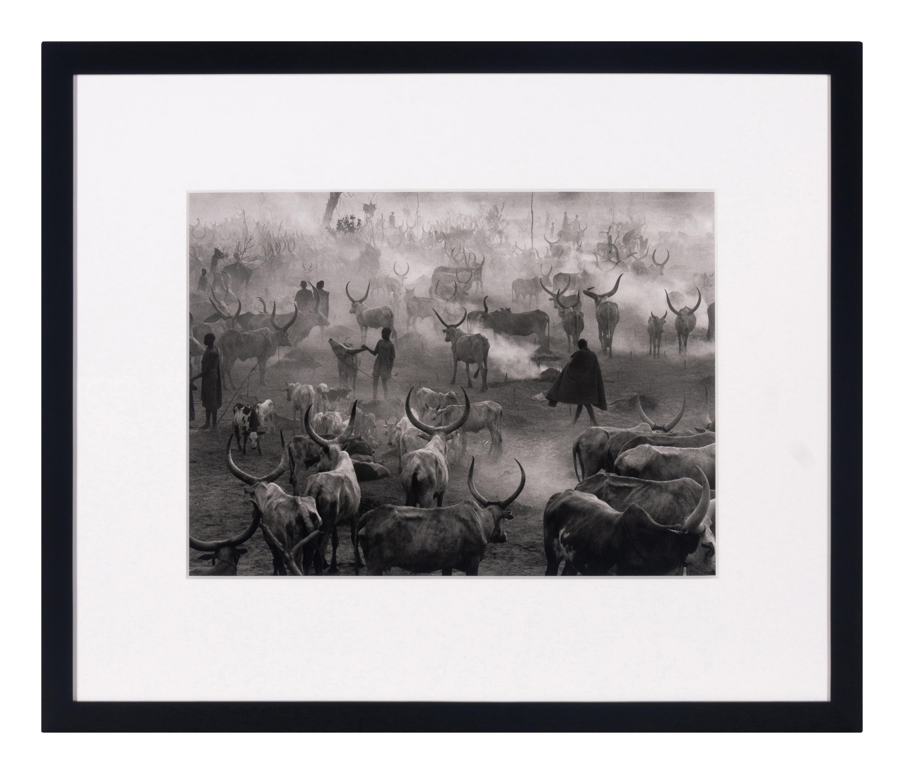 Dinka Cattle Camp of Amak, Southern Sudan, 2006