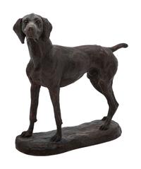 Bird Dog