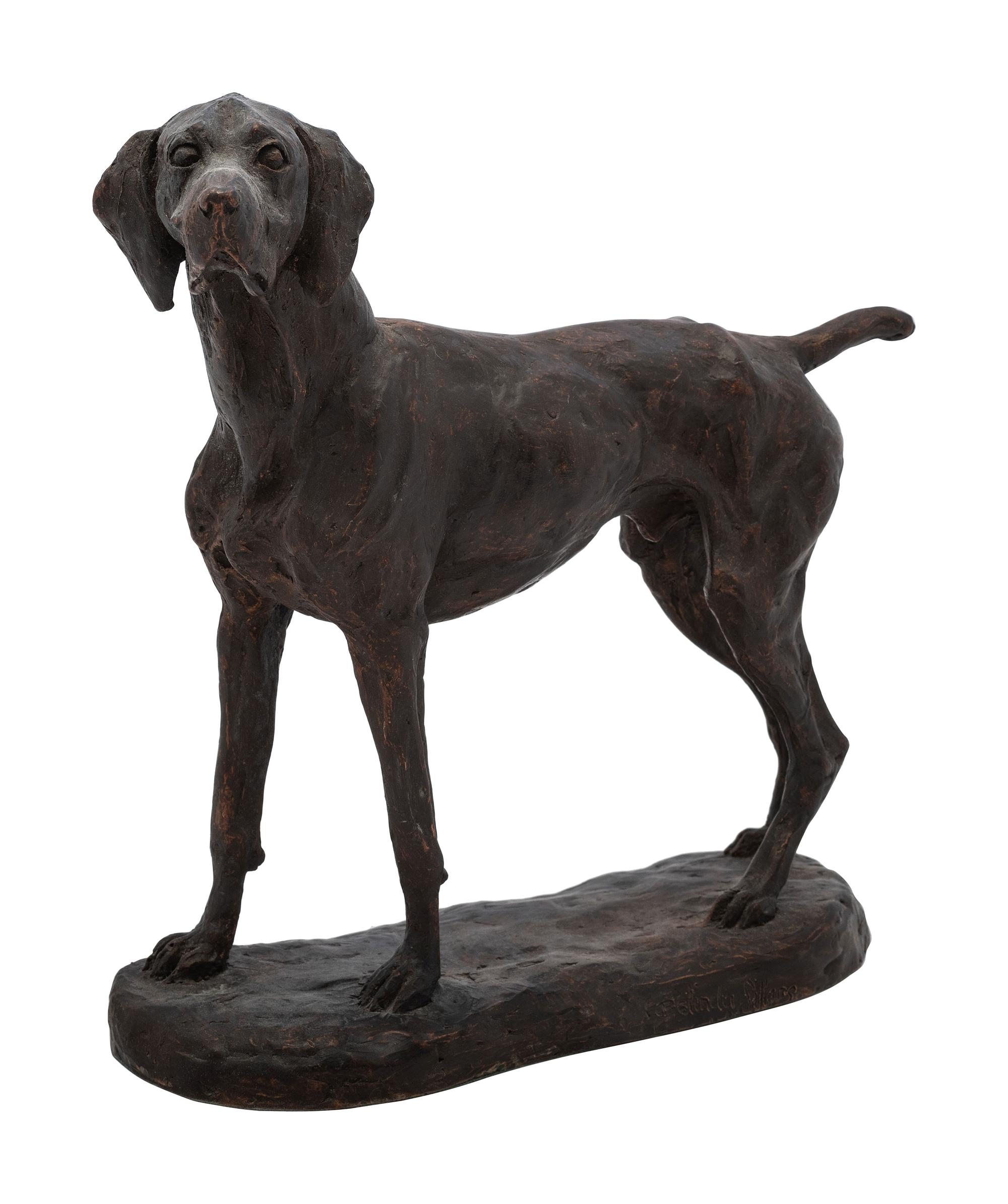 Bird Dog