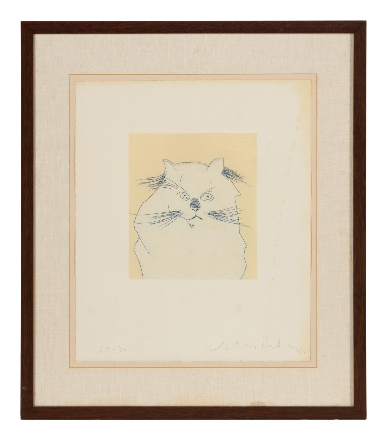 Cat , edition 29/30