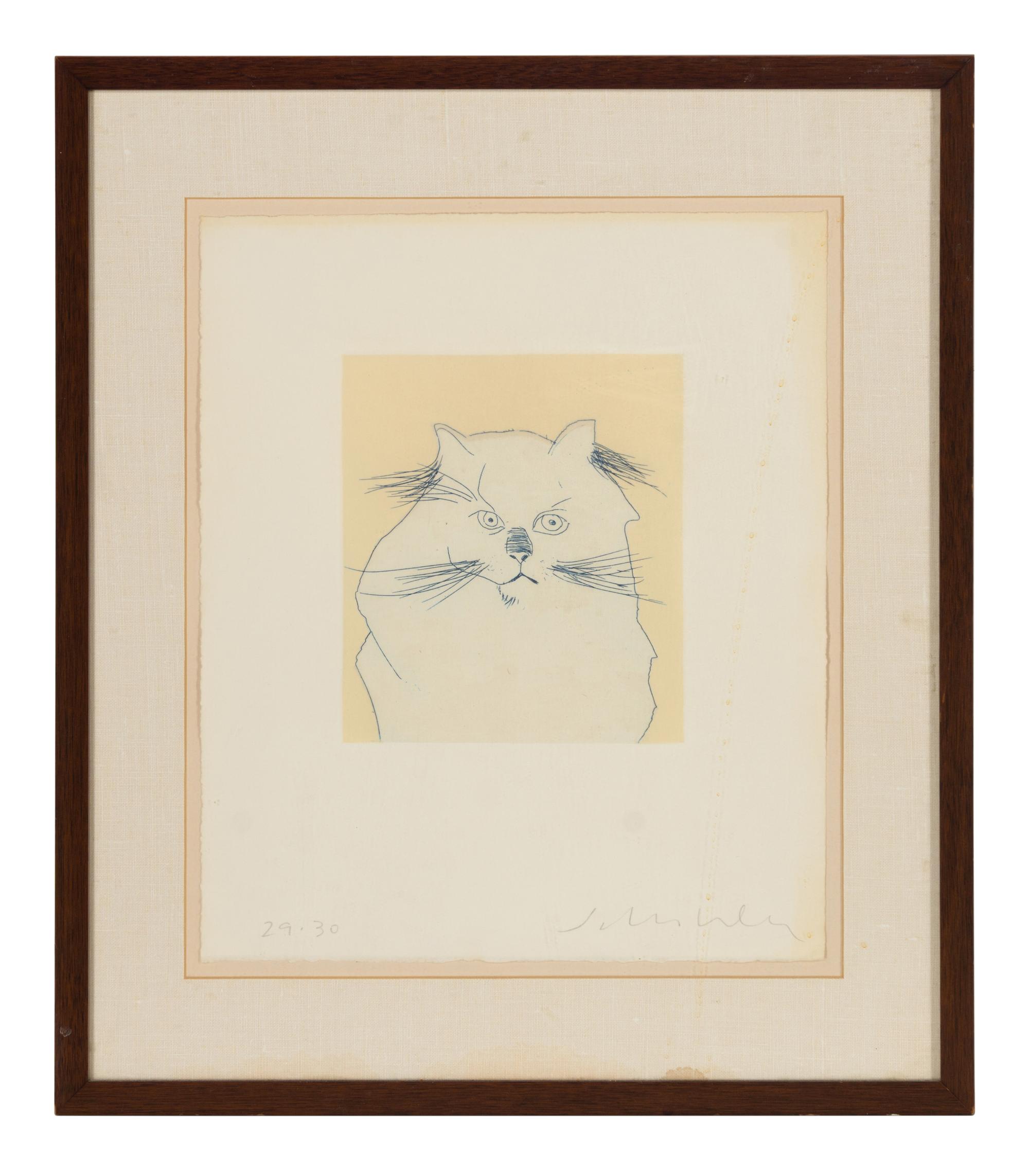Cat , edition 29/30