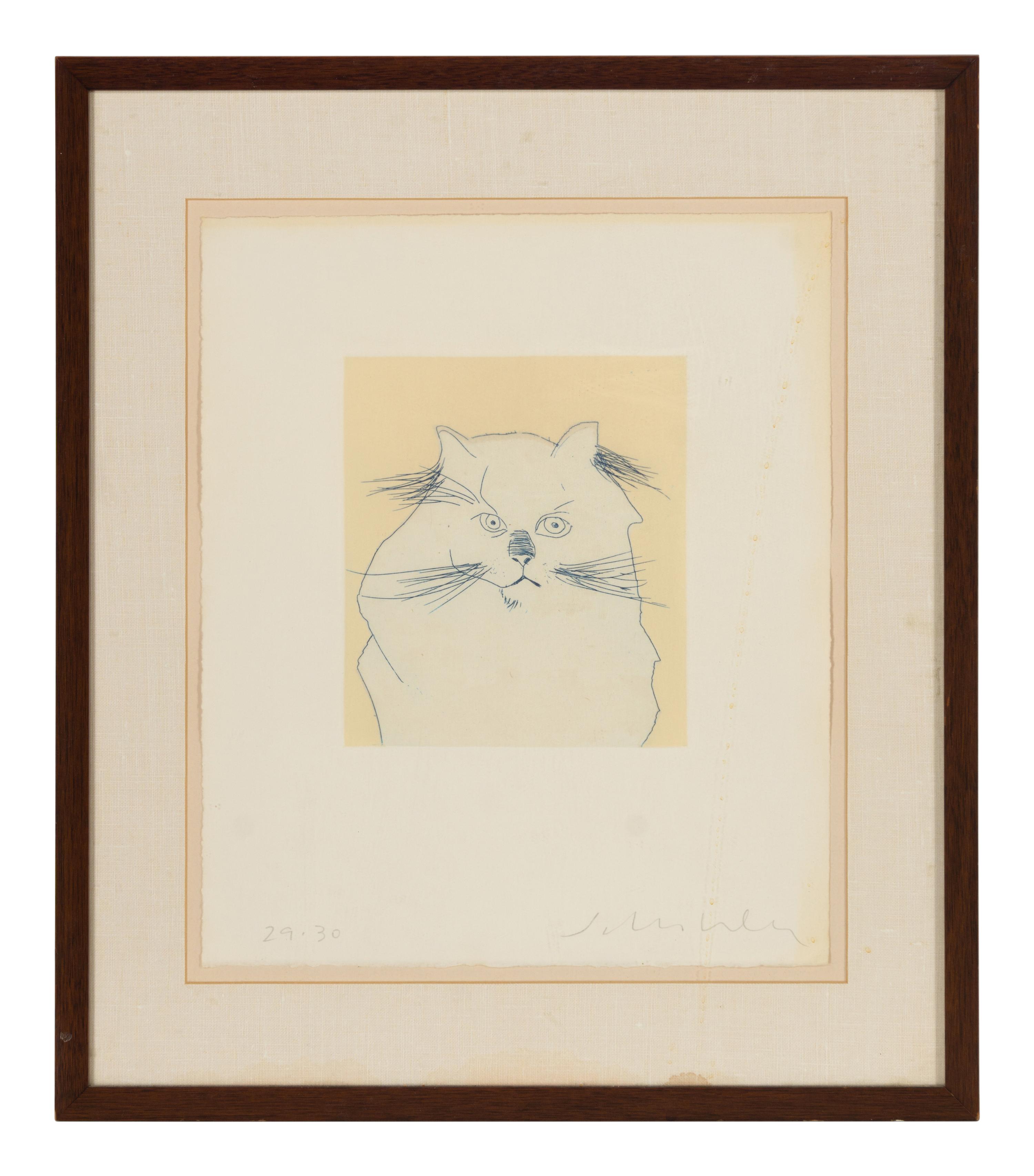 Cat , edition 29/30