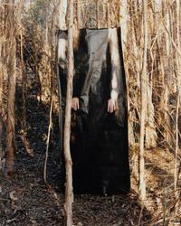 Untitled II (Everglades), A Triptych, 2003