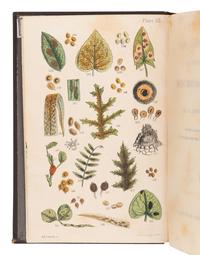 [FUNGUS]. BADHAM, Charles David (1805-1857). A Treatise on the Esculent Funguses of England . Frederick Currey, editor. London: Lovell Reeve & Co., 1863.