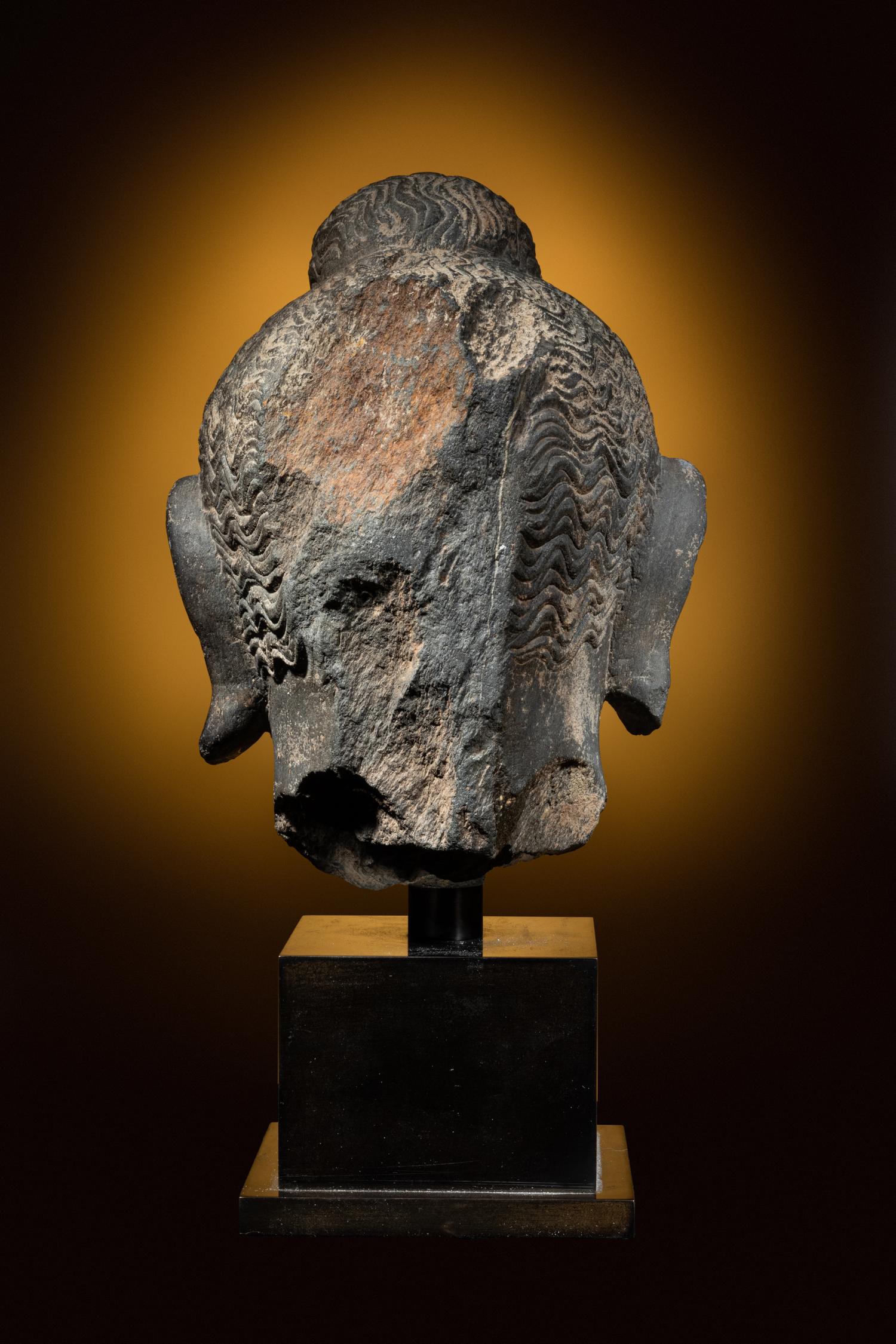 A Gandharan Grey Schist Head of Buddha Shakyamuni