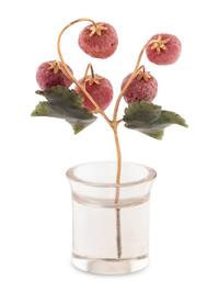 A Carved Rock Crystal, Rhodonite, Nephrite and 18-Karat Gold Strawberry Plant Study