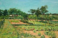 The Vegetable Garden