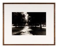 Shah Jahan's Tomb, Tree at Center, Agra , 1985, and Untitled (Garden) (Two Works)