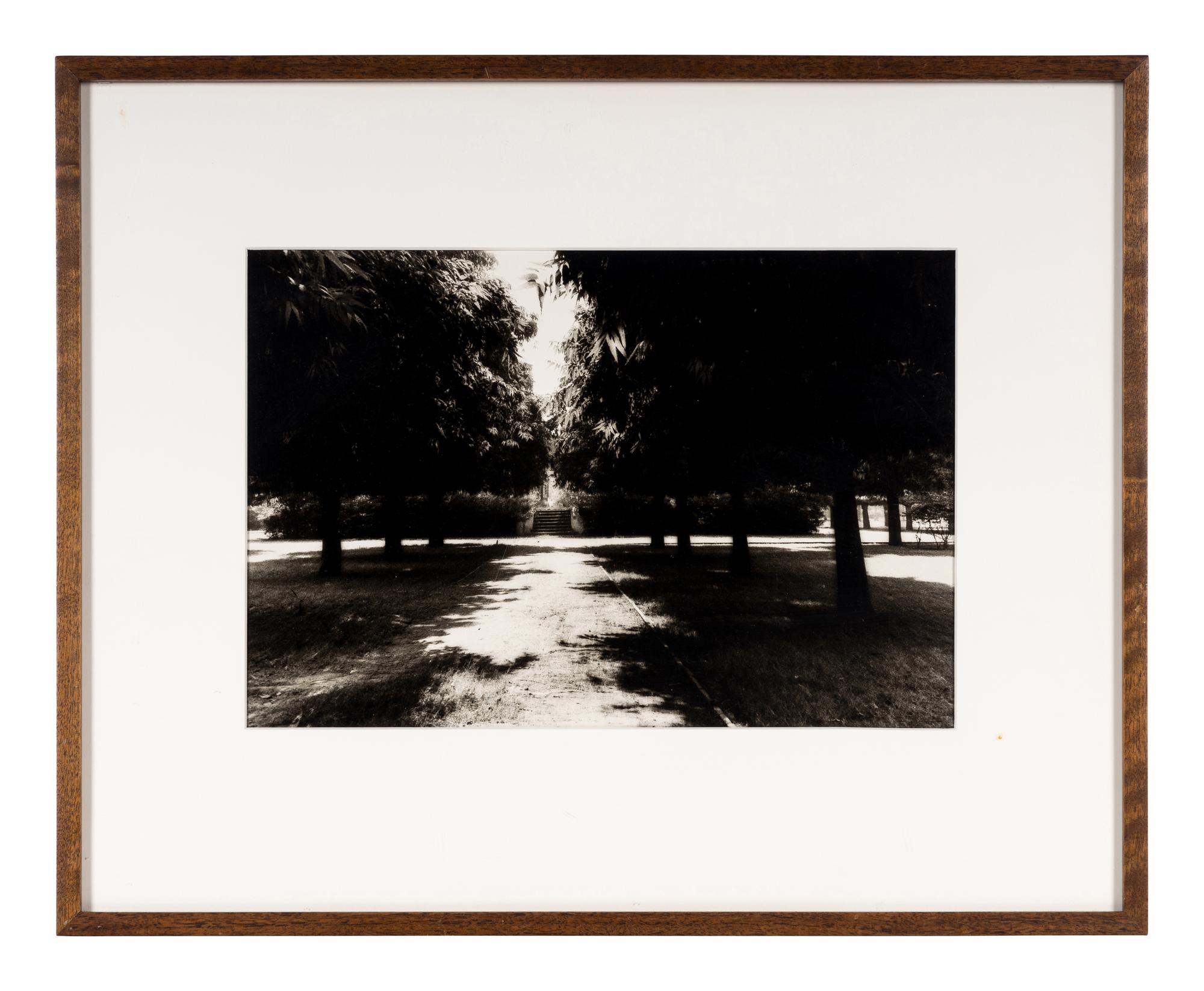 Shah Jahan's Tomb, Tree at Center, Agra , 1985, and Untitled (Garden) (Two Works)