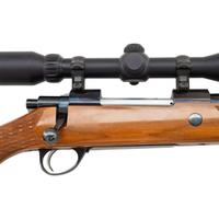 *Sako Finnbear in .25-06 with Scope
