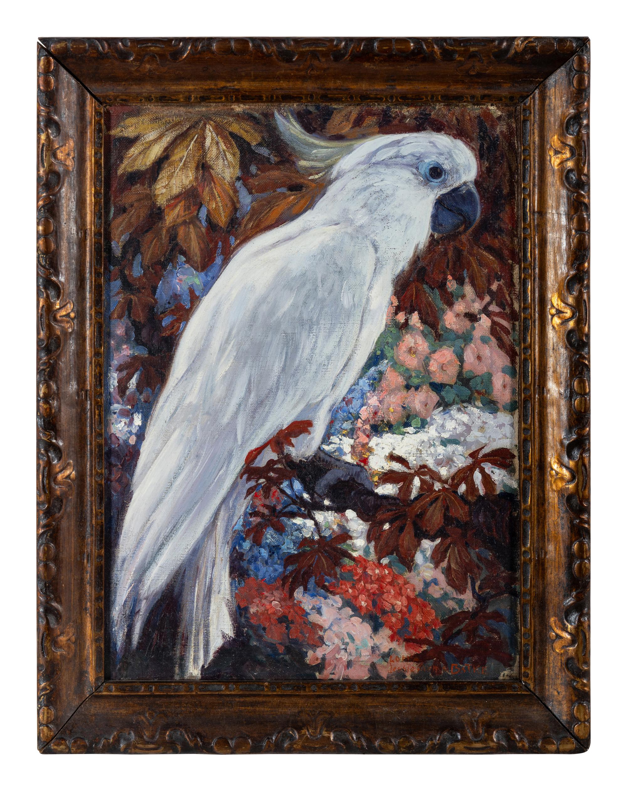 Cockatoo (Lotta)