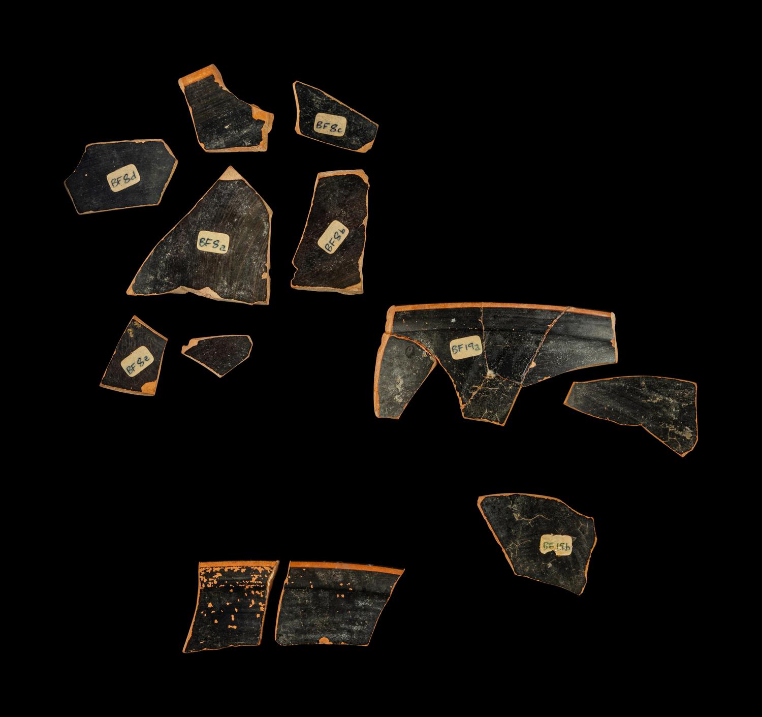 12 Attic Black-Figured Skyphos Fragments
