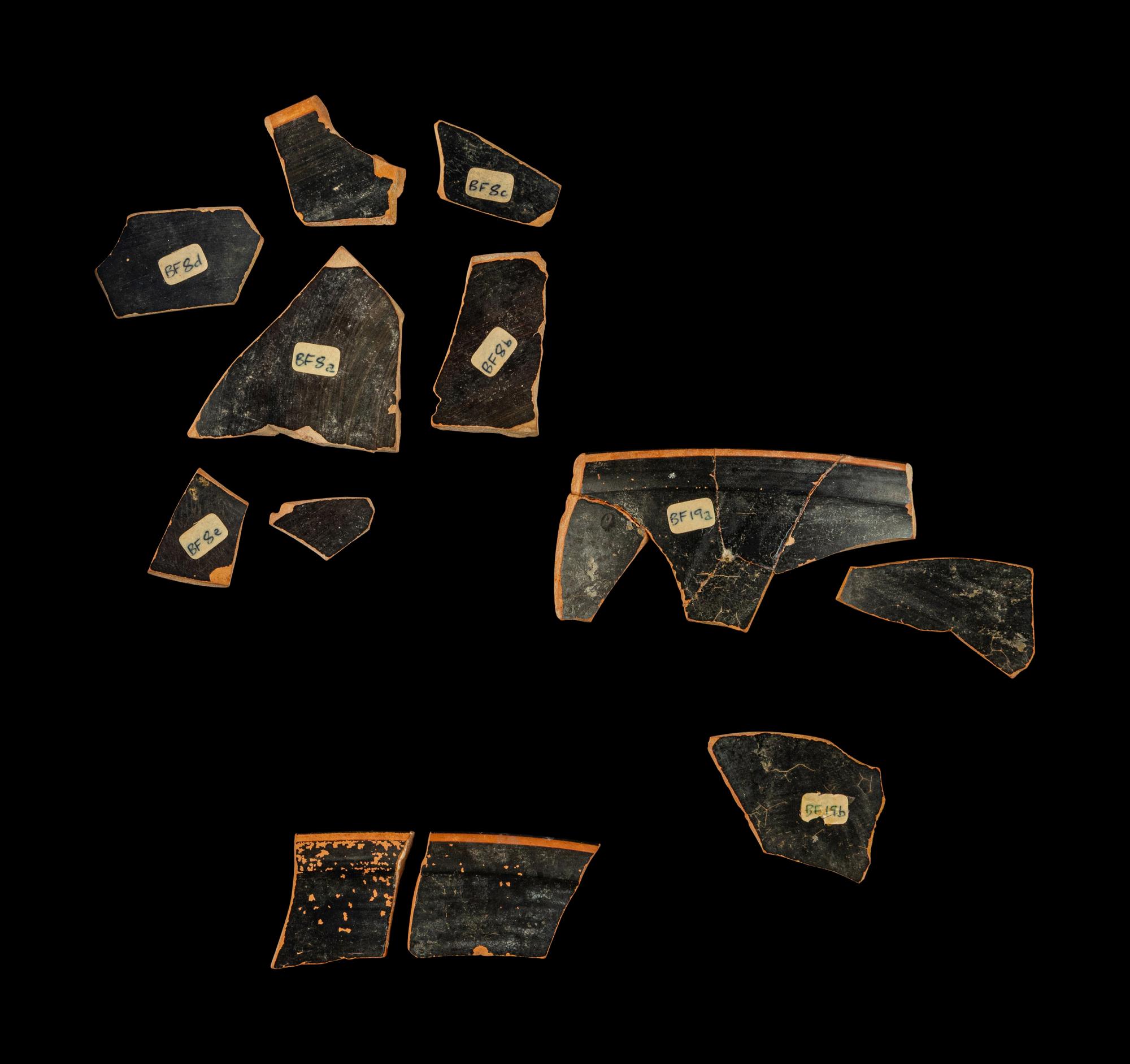12 Attic Black-Figured Skyphos Fragments