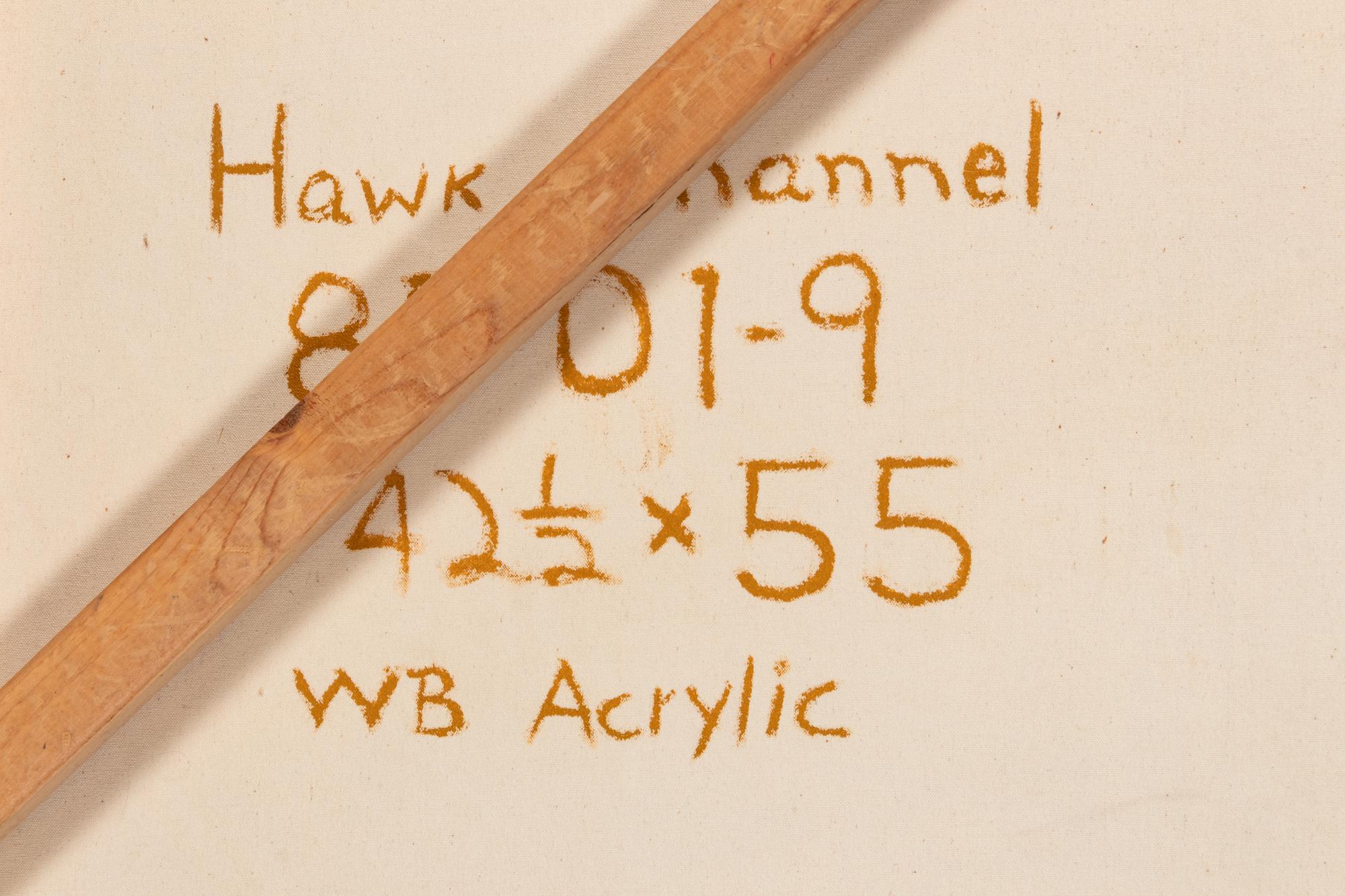 Hawk Channel