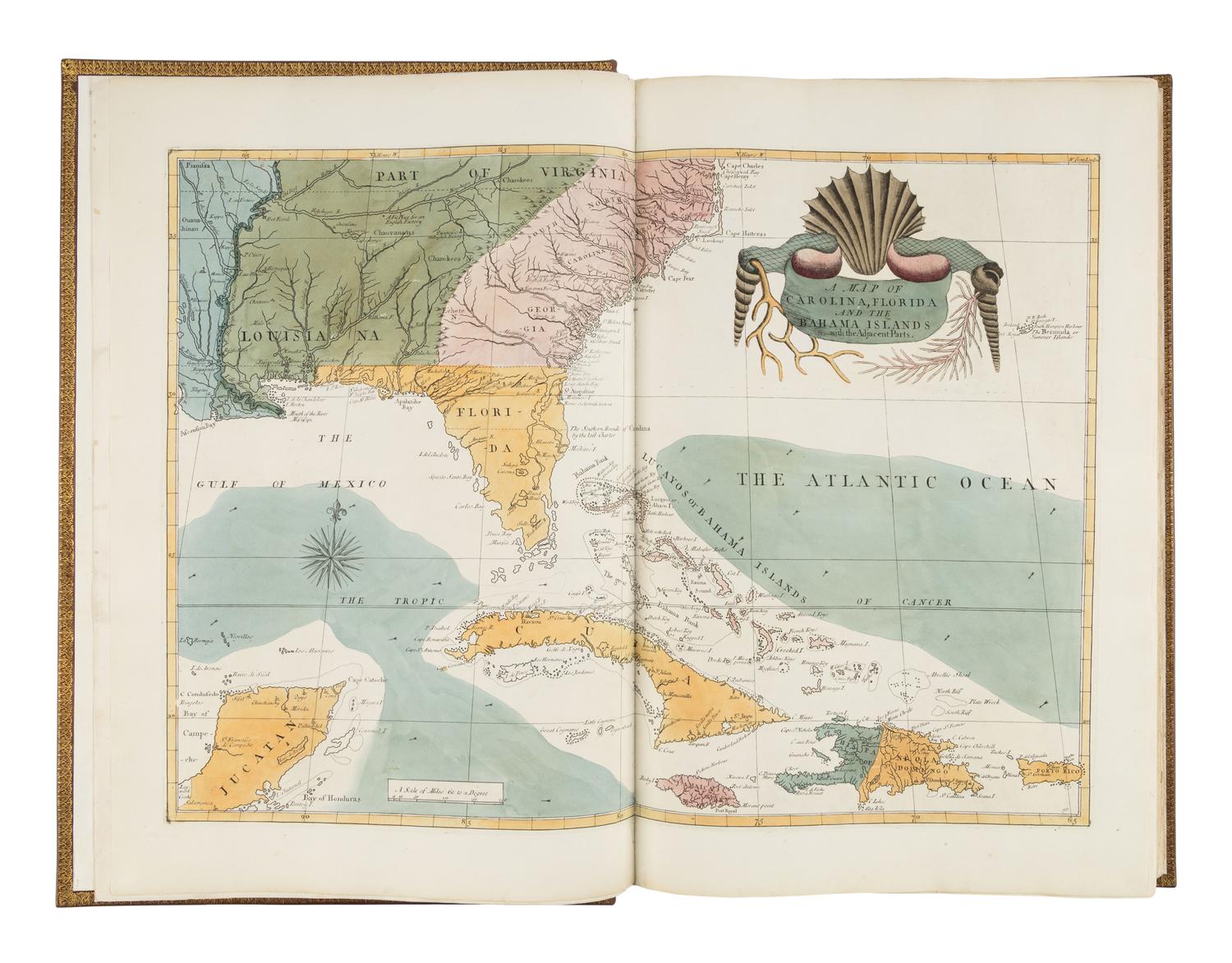 CATESBY, Mark (ca 1679-1749). The Natural History of Carolina, Florida, and the Bahama Islands: containing the figures of Birds, Beasts, Fishes, Serpents, Insects, and Plants: Particularly, those not hitherto described, or incorrectly figured by former Authors, with their Descriptions in English and French. To which is prefixed, a new and correct Map of the Countries; with Observations to their Natural State, Inhabitants, and Productions... Revised by Mr. [George] Edwards. London: Printed for Benjamin White, 1771 [map and plates watermarked 1815-16].