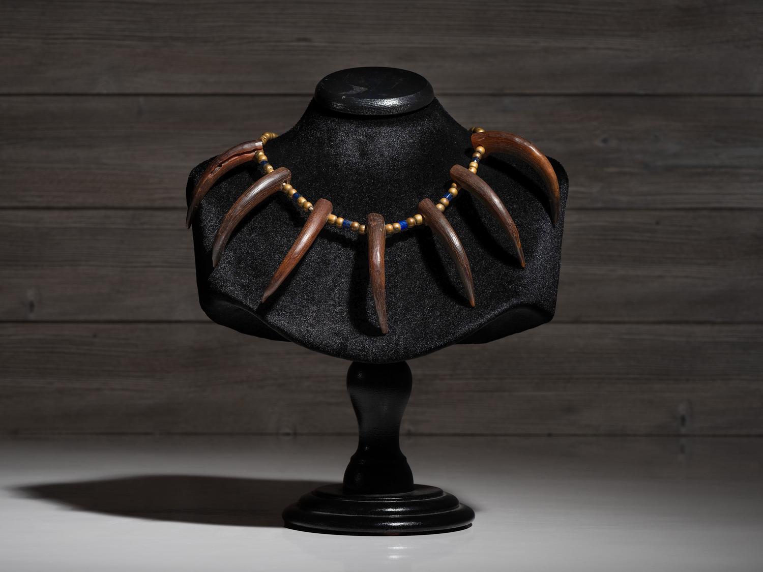 Northern Plains Imitation Bear Claw Necklace