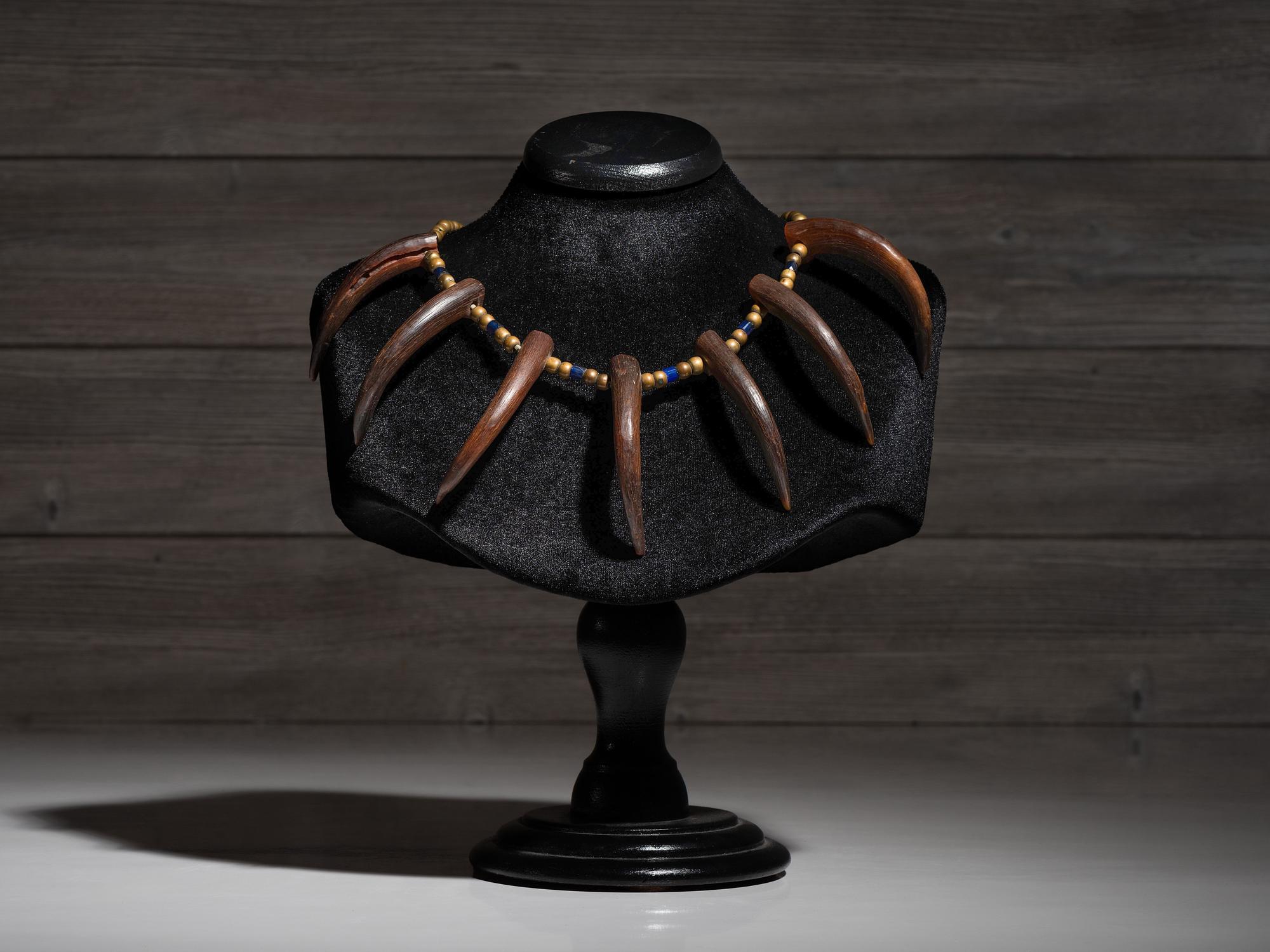 Northern Plains Imitation Bear Claw Necklace