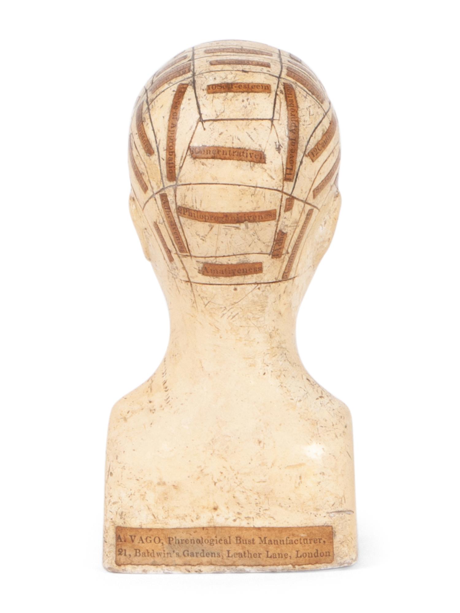 A Chalkware Phrenology Head