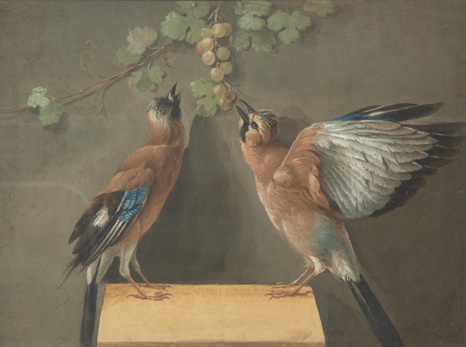 Two Birds and a Cluster of Grapes