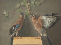 Two Birds and a Cluster of Grapes