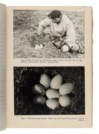 [Natural History] Gillham, Charles Edward. Group of 4 typewritten ornithological field reports, 1936-1939