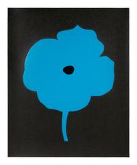 12 Colors (complete set of 12), 2007