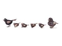 Six Italian Silver Birds