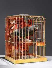 The Parrot Who Met Papa, 1972