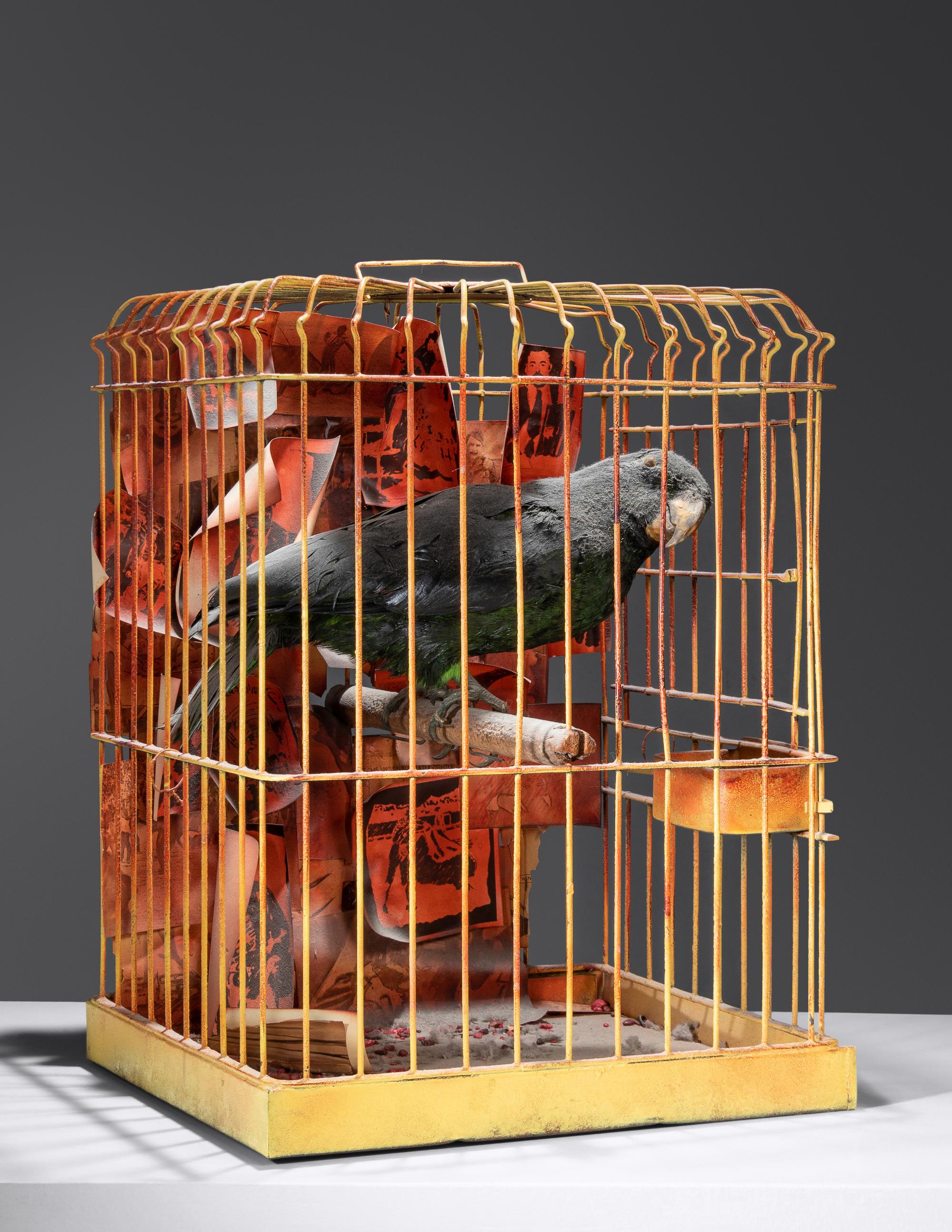 The Parrot Who Met Papa, 1972