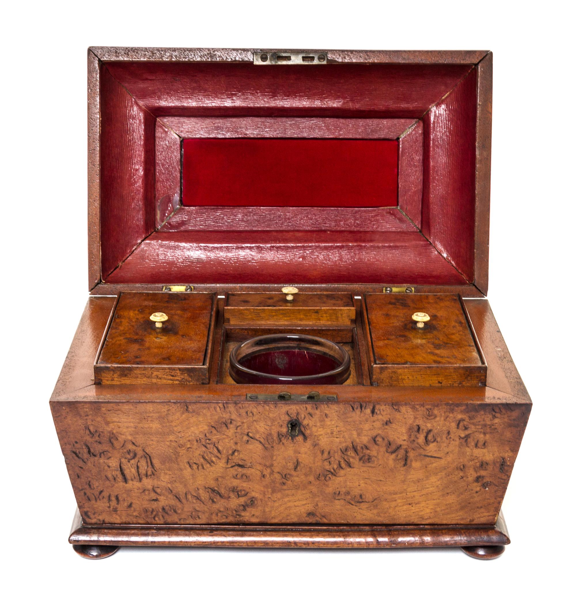 A Regency Burlwood Tea Caddy Height 8 x width 13 1/4 x depth 8 1/8 inches. — 19TH CENTURY