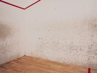 Squash 01