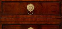 A Pair of Regency Mahogany Pedestal Cabinets