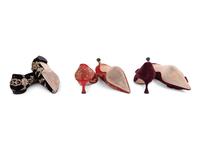 Nine Pairs of Manolo Blahnik Shoes