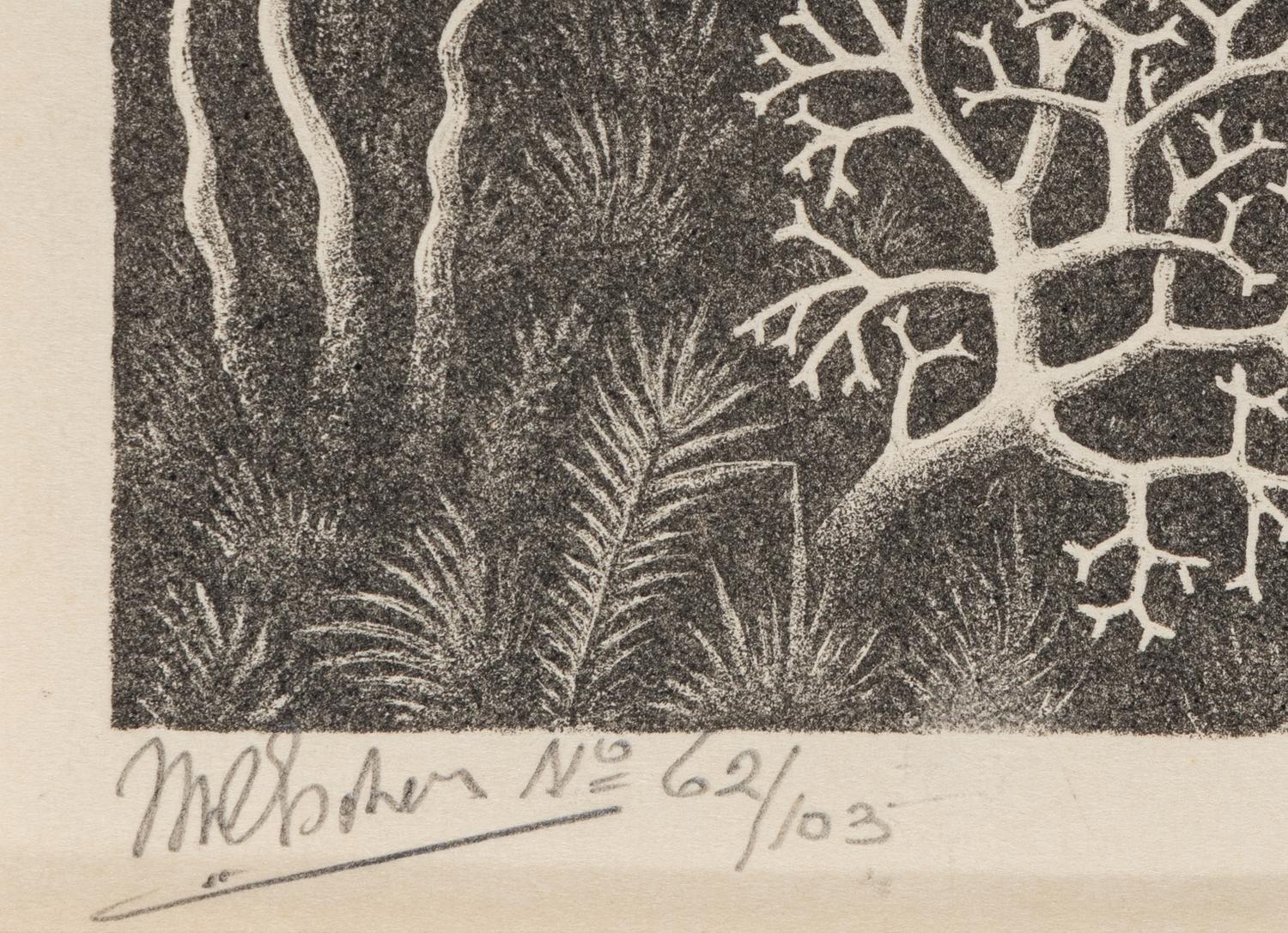 Waterfall , 1961
